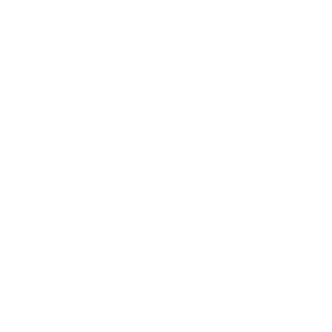 Soulara logo