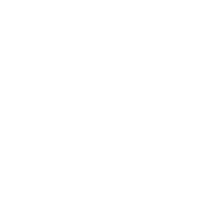 Soulara logo
