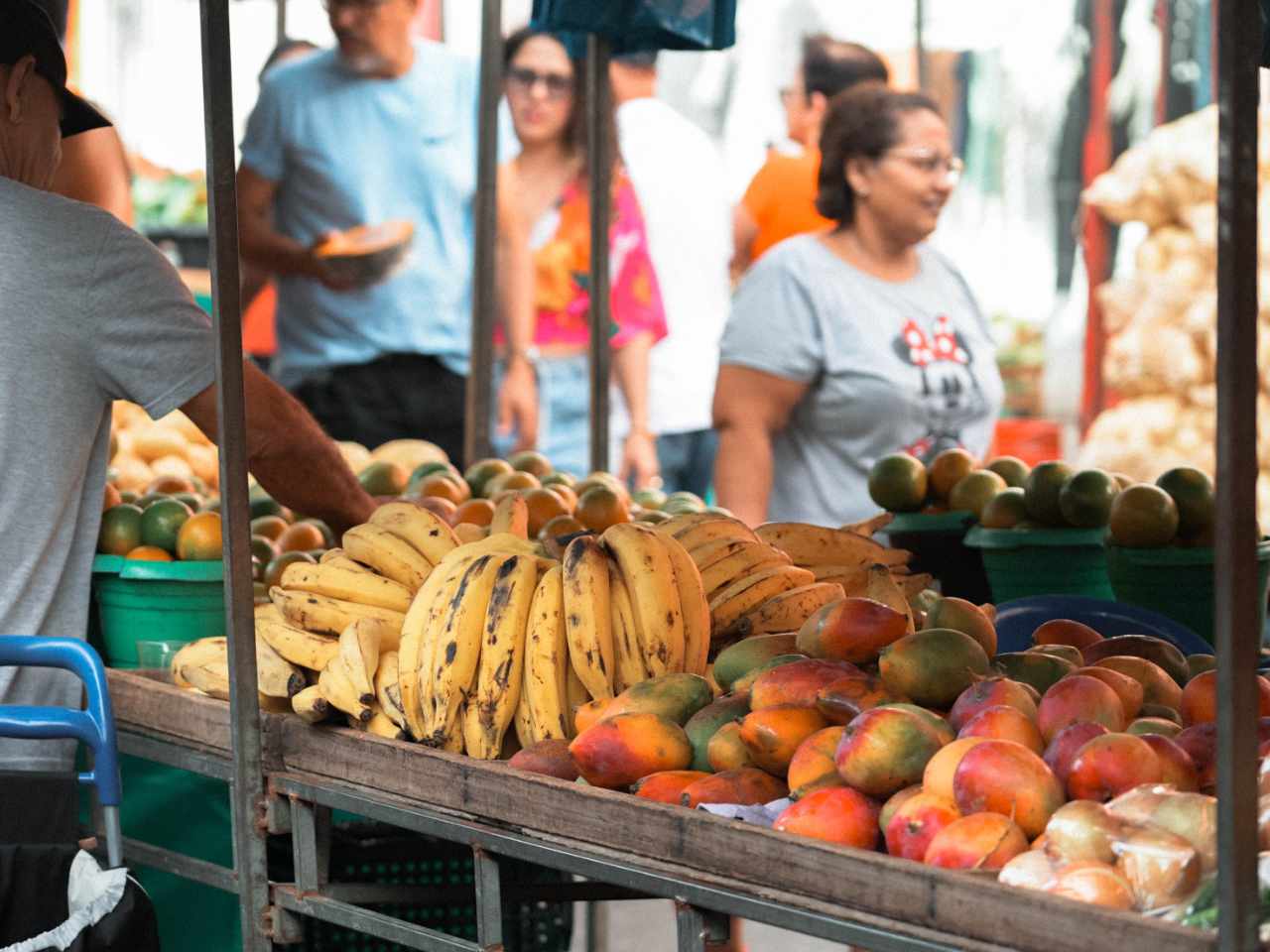 farmers photo of farmers market fruit